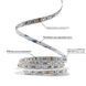 Светодиодная LED лента PROLUM&trade; 24V; IP20; 5050\60; Series "SG", RGB 350002 фото 2