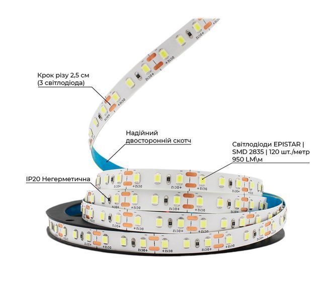 Светодиодная LED лента PROLUM&trade; 12V; 2835\120; IP20; Series "S", Холодний-білий (9000-10000К) 320022 фото