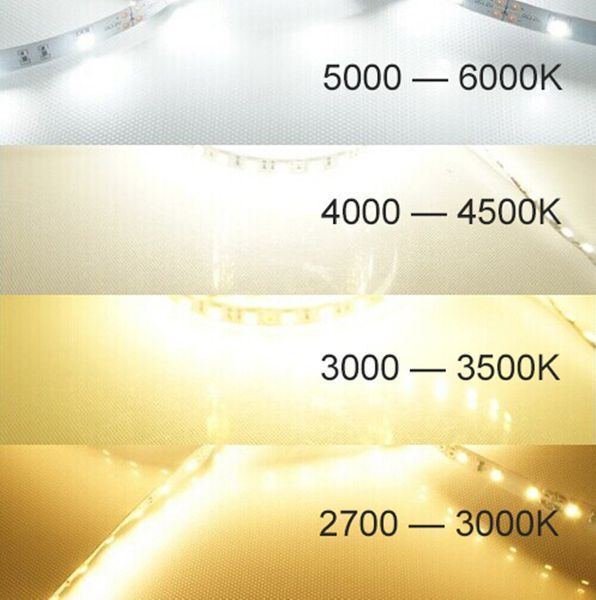 Світлодіодна LED стрічка PROLUM&trade; 12V; 2835\120; IP20; Series "SG", Нейтральний-Білий (3800-4300K) 320038 фото