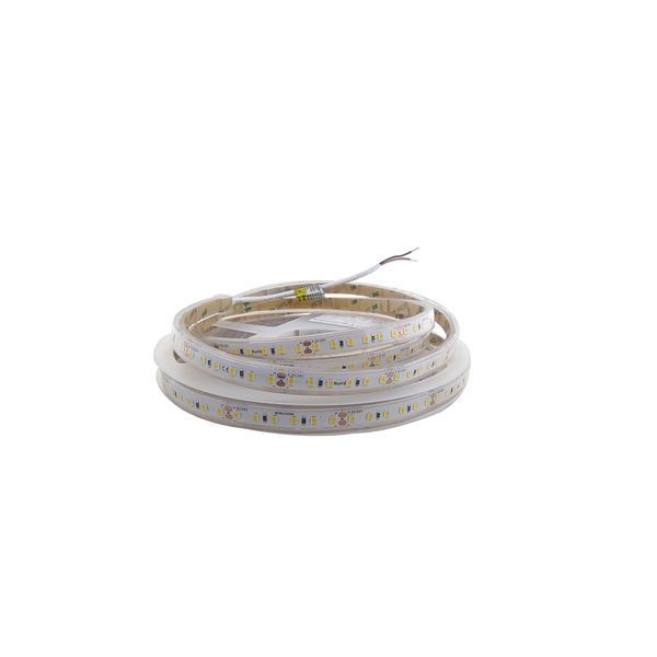 Світлодіодна стрічка RISHANG 120-2835-24V-IP20 9.6W 4000K 50м 2719 фото