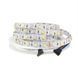 Світлодіодна LED стрічка PROLUM&trade; 12V; 5050\60; IP20; Series "SG", RGB+W 320101 фото 1