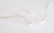 LED стрічка COLORS 196-2835-24V-IP20 18.9W 2100Lm 3000K 5м (D8196-24V-15mm) 1358 фото 2