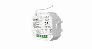 Релейный модуль выключатель DALI WiFi & RF Push Switch 15А*1CH 100-240VAC (SS-L(WT)) SS-L(WT) фото