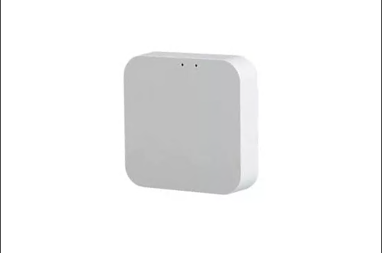 Шлюз управления PROLUM&trade; WIFI; Zigbee; Bluetooth; Tuya; HomeLink 404034 фото