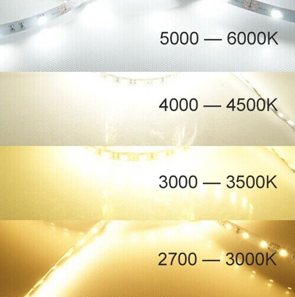 LED стрічка PROLUM&trade; 12V; 2835\60; IP20; Series "PRO", Тепло-білий (2700-3000К) 320013 фото