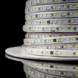 Светодиодная LED лента PROLUM&trade; 220V; 2835\120; IP67; Series "S", Белый (5500-6000К) 361012 фото 2