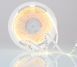 LED лента RISHANG 120-2835-12V-IP20 9W 1105Lm 4000K 10м (RL08C0TA-5-NW) 2838 фото 4
