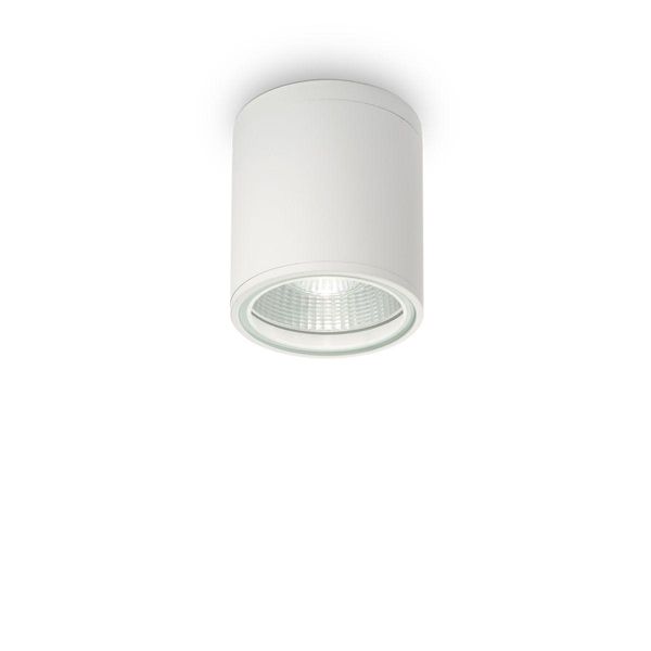 Світильник стельовий вуличний Gun PL1 Bianco Ideal Lux 122663 IDEAL LUX_122663 фото