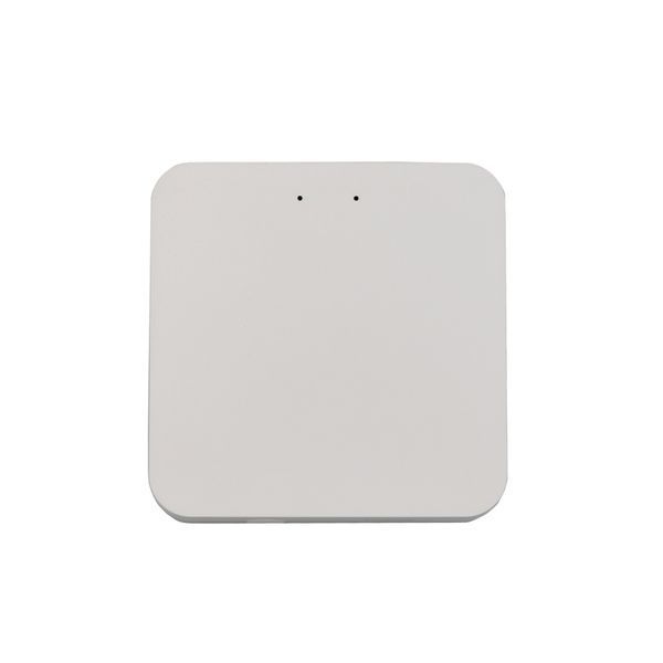 Шлюз керування PROLUM&trade; SMART - WIFI для магнітної трекової системи 751025 фото