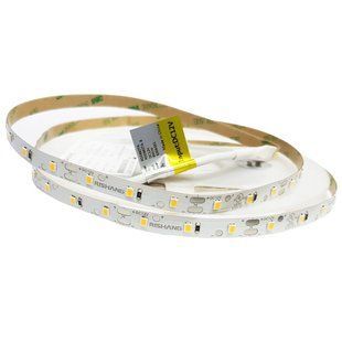 LED стрічка RISHANG 60-2835-12V-IP20 4.8W Green 5м (RD0860TA-B) 0689 фото