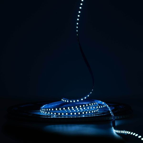 Світлодіодна LED стрічка PROLUM&trade; 24V; IP20; 2835\120; 6ММ; S-TYPE; Series "S", Блакитний Лід 350037 фото