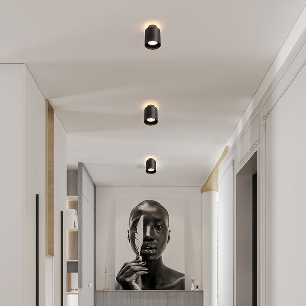 Світильник 12W+6W 38&deg;/60&deg; Cree COB + Osram2835 3000К/4000К (AL-099) AL-099 фото