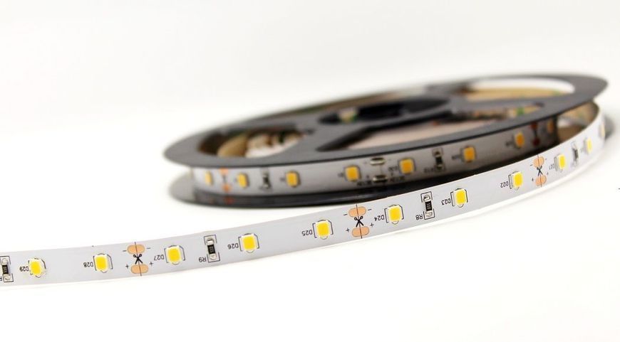 Светодиодная LED лента PROLUM&trade; 12V; 2835\120; IP20; Series "S", Зеленый зелений фото