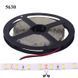 Светодиодная LED лента PROLUM&trade; 12V; 5630\60; IP20; Series "S", Зелений 320034 фото 4